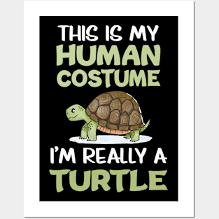 This Is My Human I’m Really A Turtle Animal Lover Tortoise Posters and Art